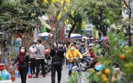 Thời tiết Tết Bính Ngọ thuận lợi để du xuân