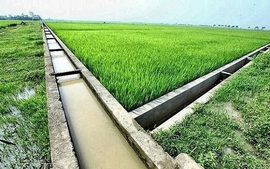 Quy định quản lý, khai thác công trình thủy lợi nhỏ, thủy lợi nội đồng