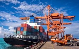 Đề xuất sửa đổi mức thuế suất thuế xuất khẩu một số mặt hàng