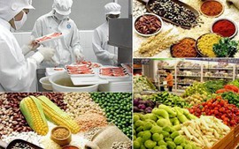 Tập trung tháo gỡ khó khăn, vướng mắc trong tổ chức triển khai thực hiện Nghị định số 46/2026/NĐ-CP quy định chi tiết thi hành một số điều và biện pháp để tổ chức, hướng dẫn thi hành Luật an toàn thực phẩm