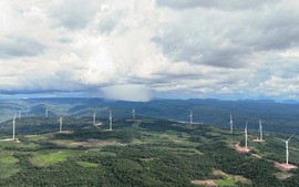 Dự án điện gió Savan 1 - điểm nhấn hợp tác năng lượng Việt Nam-Lào trong kỷ nguyên chuyển dịch xanh