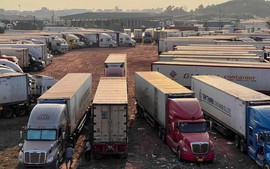 Hải quan trực 24/7, đẩy nhanh thông quan thực phẩm nhập khẩu