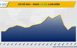 THỊ TRƯỜNG HÀNG HÓA: Giá đậu tương tăng mạnh, đồng COMEX mất đà