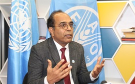 FAO: Việt Nam đang làm nông nghiệp theo cách hoàn toàn mới