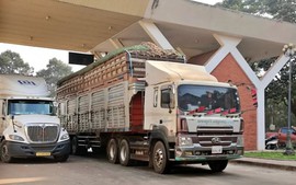 Tạm ngưng hiệu lực và điều chỉnh thời hạn áp dụng Nghị định số 46/2026/NĐ-CP