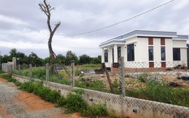 Xây nhà trên đất nông nghiệp, xin cấp sổ có phải nộp lại số lợi bất hợp pháp?