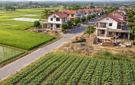 Chủ cũ vi phạm đất đai, chủ mới có phải khắc phục hậu quả?