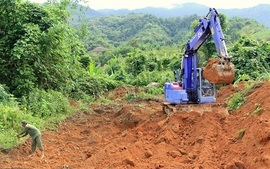 Đất khai hoang nằm trong quy hoạch rừng có được cấp Giấy chứng nhận?