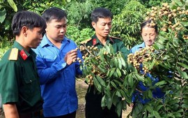 Trí thức trẻ Đề án 500 có được tiếp nhận vào công chức?