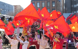 Lá phiếu từ trái tim kiều bào: Niềm tự hào và trách nhiệm với Tổ quốc