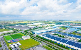 IMC đồng hành cùng doanh nghiệp nâng cao năng lực quản trị và tuân thủ thuế