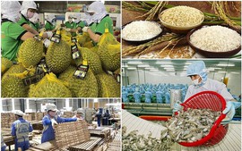 Chủ động thích ứng với Lệnh 280 khi xuất khẩu thực phẩm sang Trung Quốc