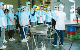 Căn cứ xét chuyển vị trí việc làm đối với viên chức