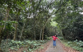 Đặt cộng đồng vào trung tâm của phát triển rừng