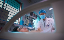 Sốt xuất huyết Dengue và những dự định dở dang bên giường bệnh