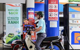 Chủ động nguồn nguyên liệu, sẵn sàng cho lộ trình sử dụng xăng sinh học