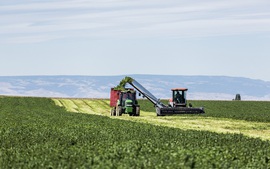 Phát triển kinh tế xanh, bền vững-Hành trình Amway theo đuổi