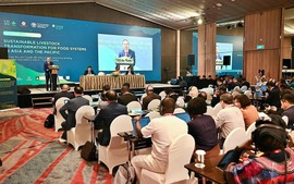 Khoa học và công nghệ số: Động lực trung tâm cho chăn nuôi bền vững