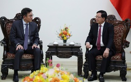 Phó Thủ tướng Hồ Quốc Dũng tiếp lãnh đạo Tập đoàn năng lượng GS (Hàn Quốc)