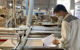 Vật liệu gỗ xây dựng: Góc nhìn từ thị trường nguyên liệu đến chiến lược lâm nghiệp