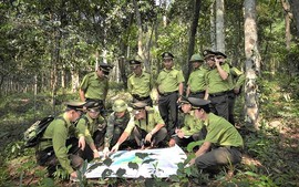 Không lập tổ chức Kiểm lâm độc lập ở cấp xã