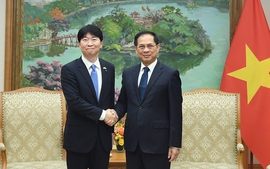 Phó Thủ tướng Bùi Thanh Sơn tiếp Thống đốc tỉnh Okayama (Nhật Bản)