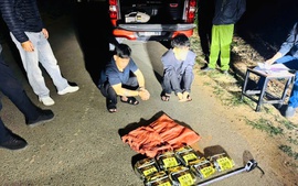 Hải quan liên tiếp triệt phá đường dây ma túy lớn