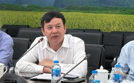 Nhiều nhà máy phân bón vận hành hết công suất, giữ giá bán hợp lý