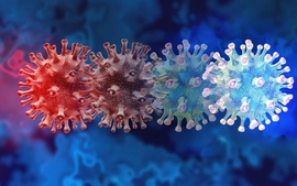 Bộ Y tế thông tin về biến thể SARS-CoV-2 BA.3.2