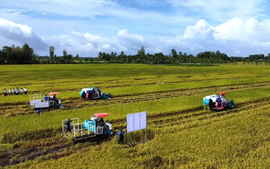 Doanh nghiệp, hiệp hội chung tay giữ nhịp sản xuất nông nghiệp