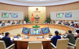 Thủ tướng chủ trì Phiên họp Chính phủ thường kỳ tháng 2/2026