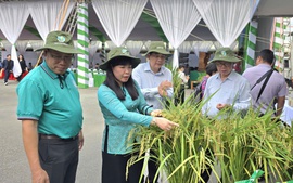 Ngày hội nông dân trồng lúa 2026: Thúc đẩy sản xuất lúa chất lượng cao, giảm phát thải ở ĐBSCL