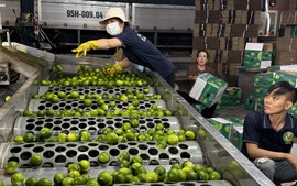 Cải thiện công nghệ bảo quản nông sản để giảm chi phí xuất khẩu