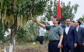 Thủ tướng Phạm Minh Chính: Cần biến núi rừng Tây Bắc trùng điệp thành của cải vật chất