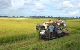 Xuất khẩu nông, lâm, thủy sản quý I đạt gần 16,7 tỷ USD