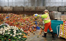 Mỗi ngày, thế giới lãng phí lượng thực phẩm đủ cho 1 tỷ bữa ăn