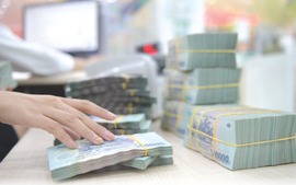 Lương Giám đốc có thể cao hơn Chủ tịch công ty không?