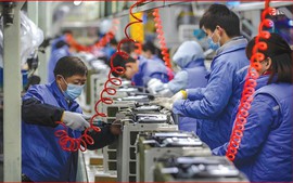 Đào tạo, nâng cao trình độ kỹ năng nghề phải bảo đảm quyền, lợi ích hợp pháp của người lao động