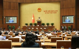 Phải tạo được các cơ chế, chính sách đặc thù, vượt trội cho sự phát triển của Thủ đô