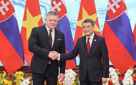 Thủ tướng Lê Minh Hưng hội đàm với Thủ tướng Cộng hòa Slovakia Robert Fico