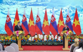 Tuyên bố chung về thiết lập quan hệ đối tác chiến lược giữa Việt Nam và Slovakia
