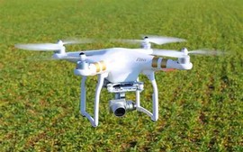 Drone trong nông nghiệp: Lợi ích lớn; thách thức không nhỏ