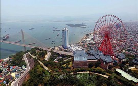 Kết luận về chủ trương thành lập TP. Quảng Ninh trực thuộc Trung ương