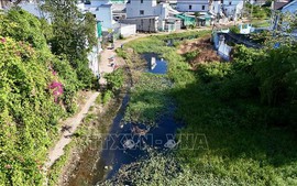 Kết luận của Bộ Chính trị về tiếp tục tháo gỡ khó khăn, vướng mắc cho các dự án tồn đọng kéo dài