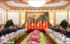 Tổng Bí thư, Chủ tịch nước Tô Lâm hội đàm với Tổng Bí thư, Chủ tịch Trung Quốc Tập Cận Bình