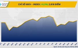 Lo ngại nguồn cung thúc đẩy lực mua, MXV-Index đảo chiều phục hồi
