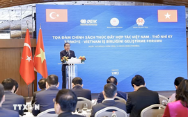 Thúc đẩy mạnh mẽ hợp tác kinh tế, thương mại, đầu tư và du lịch giữa Việt Nam - Thổ Nhĩ Kỳ