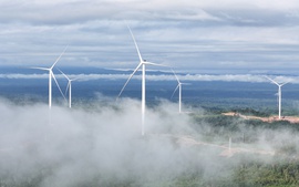 Savan 1 và 'bài toán' điện gió xuyên biên giới: Từ quyết định đầu tư đến dòng điện vận hành