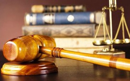 Tham ô tài sản, cựu Chủ tịch kiêm TGĐ Công ty Nam Triệu và đồng phạm bị truy tố