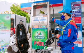 Để xăng E10 nhanh chóng đi vào thực tiễn